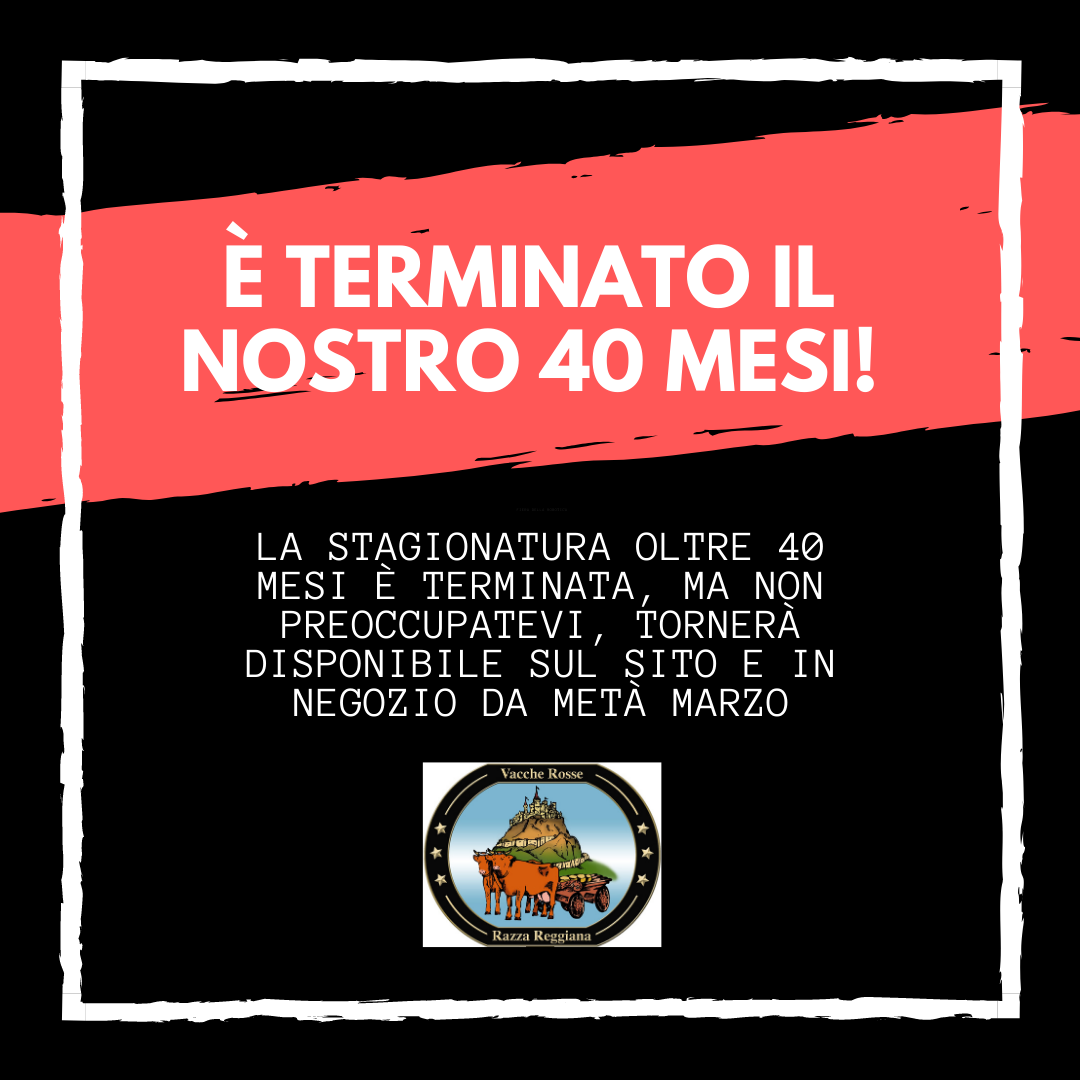 termine 40 mesi