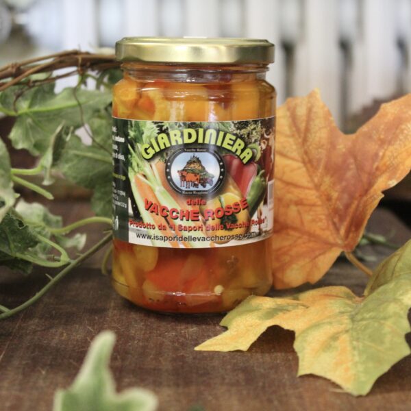 GIARDINIERA CON VERDURINE DELL'ORTO